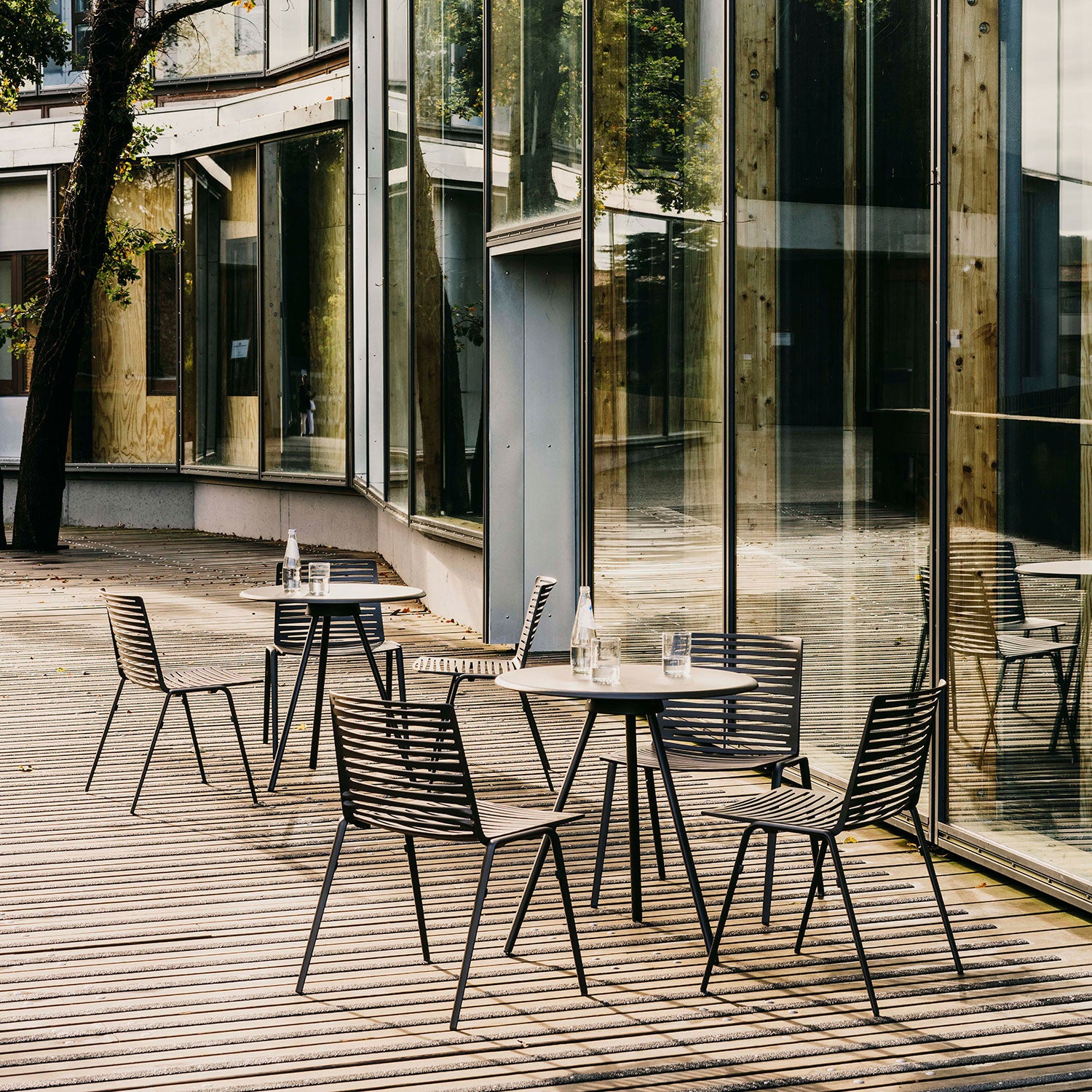 Zebra dining chair Powder Grey
