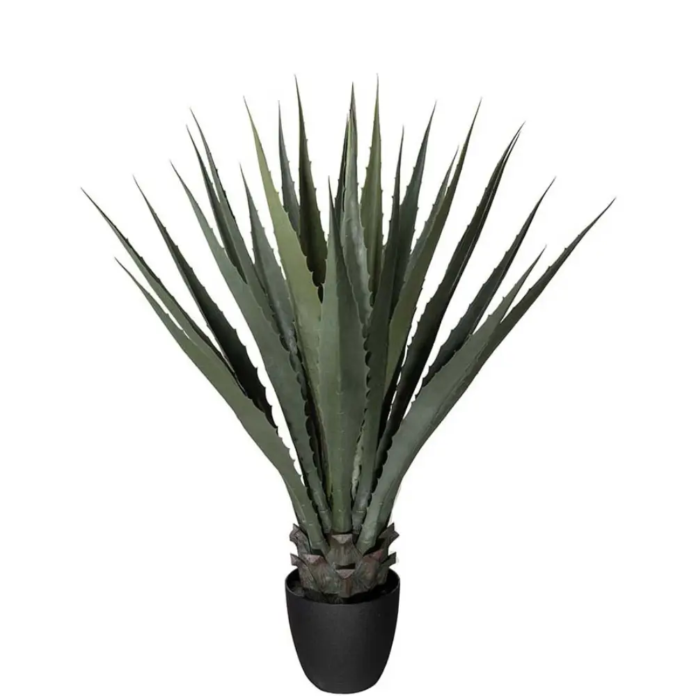 Agave green 100 cm