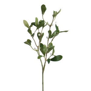Mistletoe 60 cm